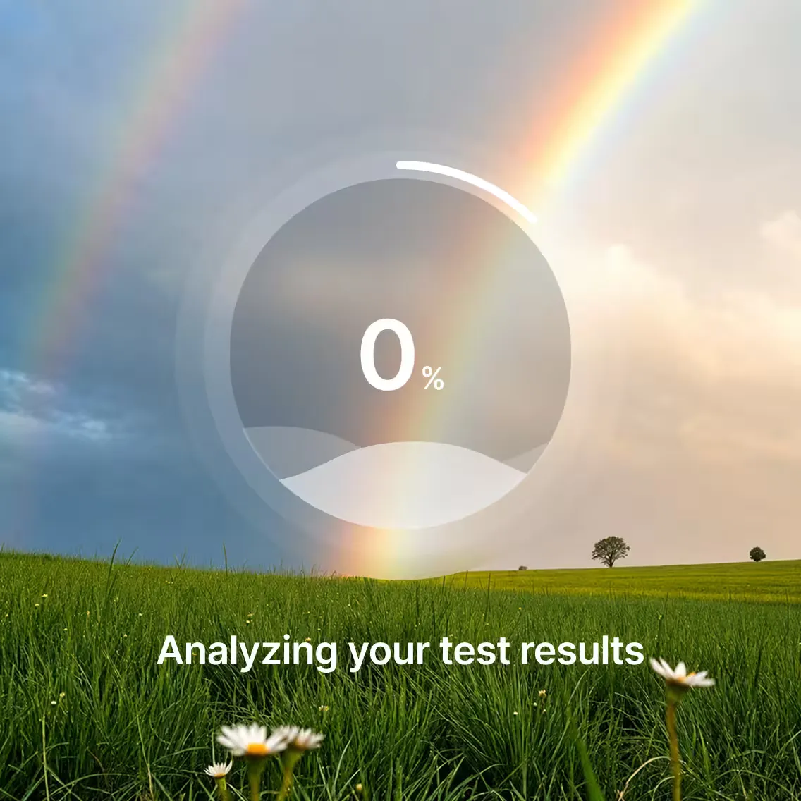 Analysis of the results