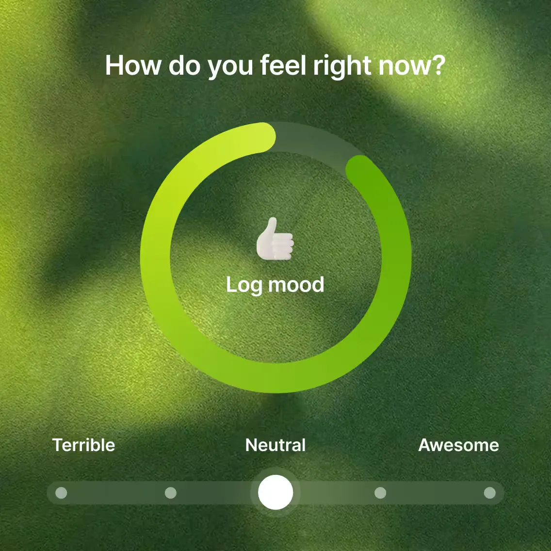 Check in with yourself